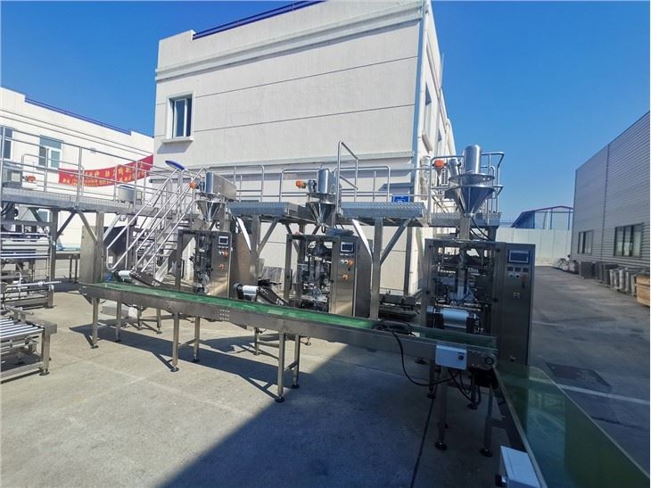 Dry Powder Baking Powder 1kg Bag Filling Machine
